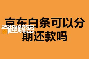京东白条可以分期还款吗