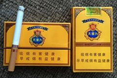 大重九多少钱一包？整体售价颇高（口感上很出众）