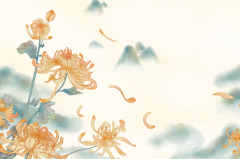 秋天适合种什么花：菊花/旱金莲等(好看又好养)