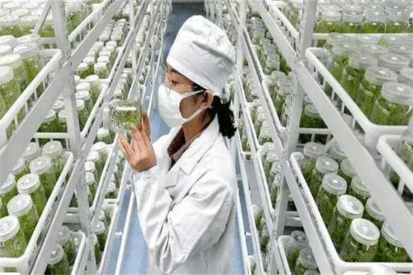 农学专业学什么?研究农业发展的自然规律(冷门专业)