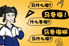 马冬梅是什么梗：形容备考状态(出自《夏洛特烦恼》)