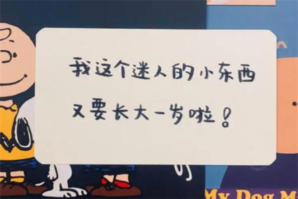 祝自己生日快乐的句子发朋友圈：感谢每个阶段的自己(精选30句)