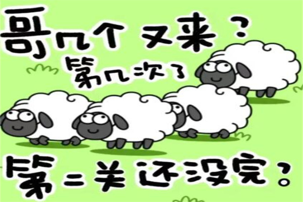 羊了个羊第二关怎么过?槽位不能满(可使用道具)