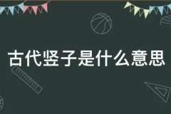 古代竖子是什么意思：对童仆/小孩的蔑称(逐渐变成骂人的话)