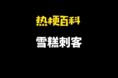 雪糕刺客是什么意思：天价雪糕的代名词(网络流行语)