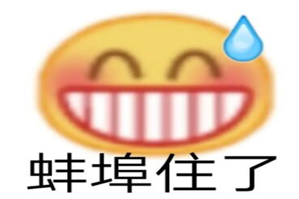 蚌埠住了什么梗?谐音梗(扛不住的意思)