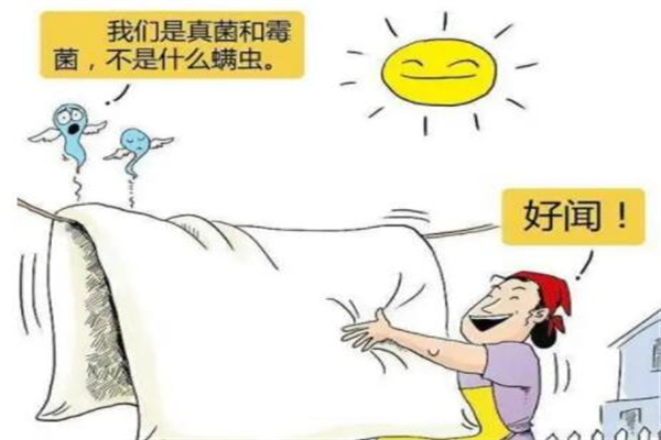 螨虫最怕这3种东西：太阳/青花椒/艾草(轻松赶走螨虫)