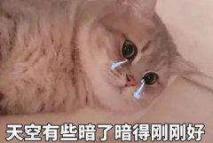 笑死人不偿命系列沙雕网名：搞笑昵称(男女都可用)
