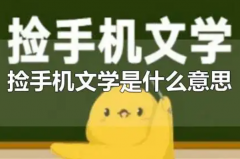 捡手机文学是什么意思?伪造聊天内容(起源于豆瓣)