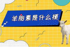 羊胎素是什么梗?指阴阳怪气转移话题(网络流行梗)