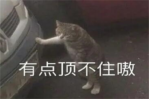有点顶是什么梗?有点难度(出自《功夫足球》)