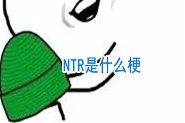 ntr是什么意思梗?罗马拼音缩写(被人强占对象)