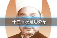 王守义十三香是什么梗：指苹果13香(网络谐音梗)