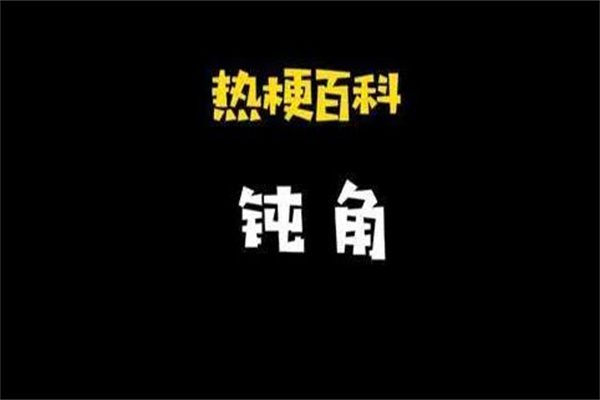 万物皆可钝角是什么意思?只可意会不可言传(并没有意思)