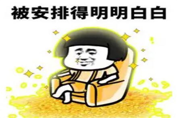 安排是什么梗?诙谐梗(网络用语整人的意思)