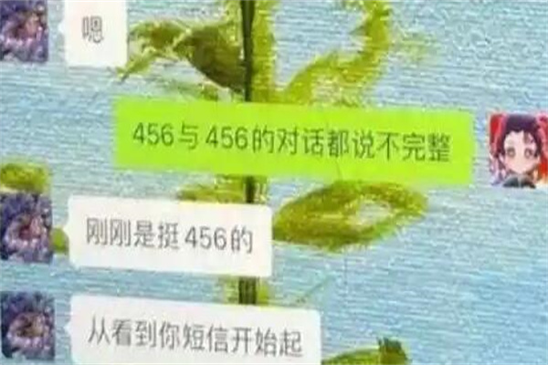 456是什么梗?谐音梗(意指发骚啦)