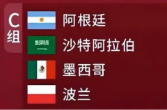 2022世界杯C组球队一览表：沙特/波兰等(第一不被看好)