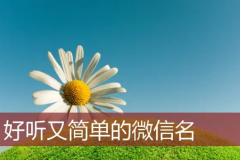 微信名改成什么比较有意义?男女都能用(高级网名)