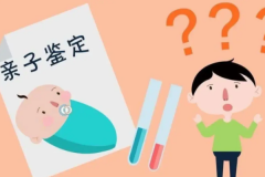 亲子鉴定要多少钱的费用?800-到1800元(各不相同)