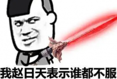 赵日天是什么梗?网络虚拟人物(网络流行梗)