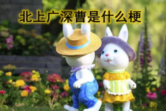 北上广深曹县是什么梗?指北京上海广州和曹县(调侃梗)