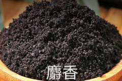 麝香是动物身上的哪个部位?囊腺分泌物(来自成熟雄鹿)