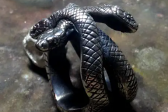 世界上有三头蛇吗?没有(传说中的生物)