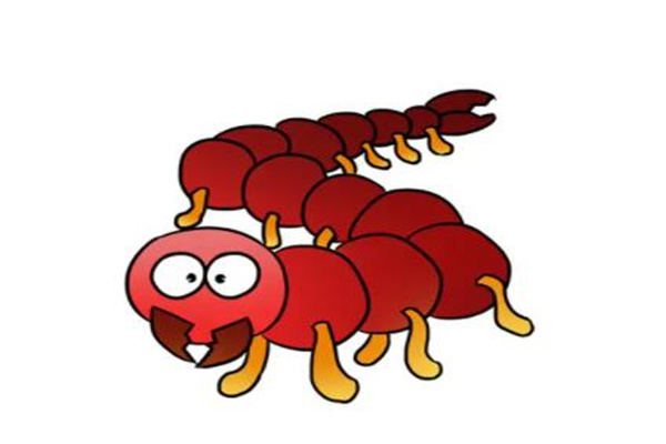 为什么不能踩死蜈蚣?较多毒性物质(对身体有影响)(天牛为什么不能踩死)