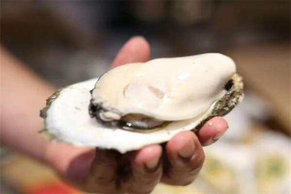 生蚝怎么清洗内脏图解：三步清洗技巧(可加入植物油)