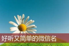 改个有意义的微信号id：英文名简单又大方(独一无二)