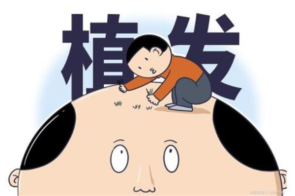 植发要多少钱?3000元到8000元左右(按毛囊单位收费)