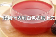 杨梅汁弄到衣服上怎么处理?盐/白醋等(三个小妙招轻松搞定)