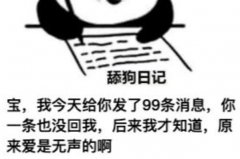 舔狗日记是什么意思?(以舔狗的姿态为出发点写的日记)