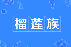 榴莲族是什么意思?有工作资历但不好相处的人(出自五月天歌曲中)