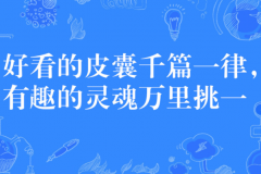好看的皮囊千篇一律有趣的灵魂万里挑一是什么意思?(追求内在美)
