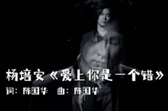 也许我命中注定情海中颠簸歌词是什么意思?(感情坎坷)
