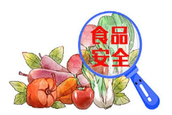食品质量与安全专业学什么?食品工程学等知识(就业前景广)