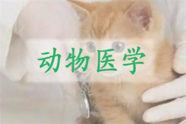 理科女生学什么专业好?五个专业很吃香(工作稳定待遇好)