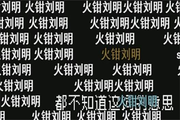 孙笑川是什么梗?网络第一背锅侠(比较招黑的主播)