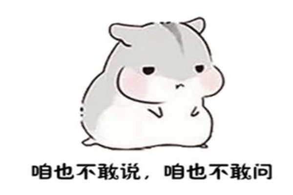 1999年保密协议是什么梗?玩笑梗(为引起00后的好奇心)