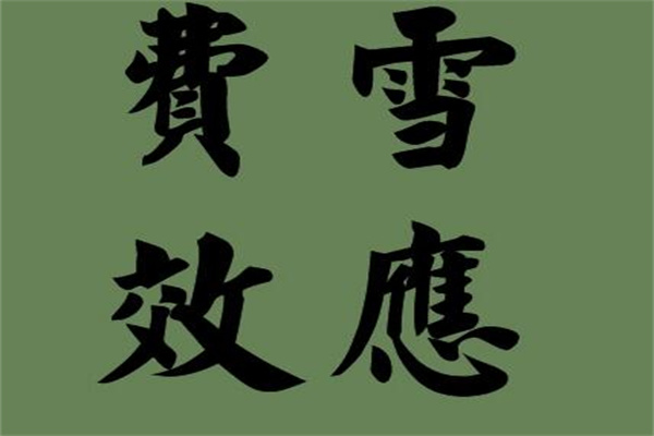 集群效应：同种生物活在一起产生有利作用(经济现象)
