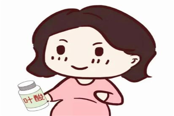 叶酸什么时候吃最佳时间?早午饭后半个小时(更好吸收)