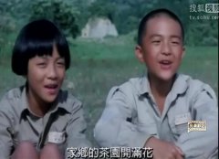 鲁冰花歌词细思极恐：背景故事过于悲凉(出自同名电影)