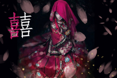 囍背后的故事：讲述的是结婚的故事(由葛东琪填词谱曲)