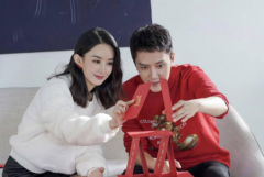 赵丽颖前男友：曾和高梓淇因戏生情(前夫为冯绍峰)