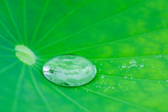 谷雨下雨好还是不下雨好?下雨好(代表庄稼收成好)
