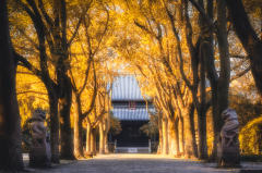 六种人不宜去寺庙：衣冠不整/孕妇等(容易对双方造成冲撞)