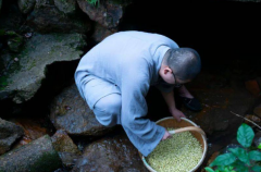 活了1072岁的人是谁?千岁宝掌和尚(从战国到大唐)