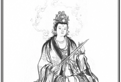 龟灵圣母轮回成什么了?不确定(原型为万载灵龟)