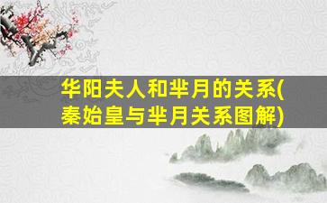 华阳夫人和芈月的关系(秦始皇与芈月关系图解)